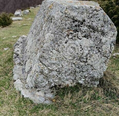 Stecci